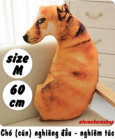 Chó cún nghiêng đầu liếc nhìn - nghiêm túc Size M 60cm